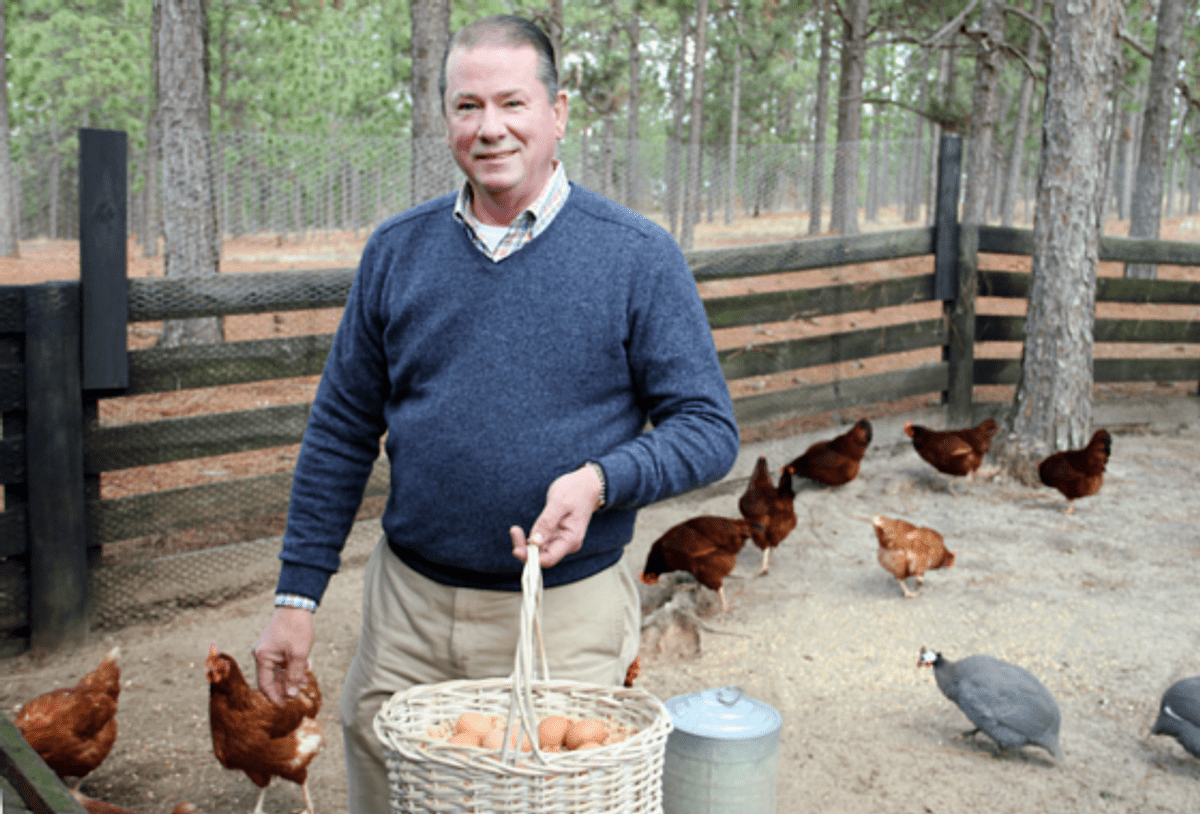 Farm fresh eggs offer hope to single mothers