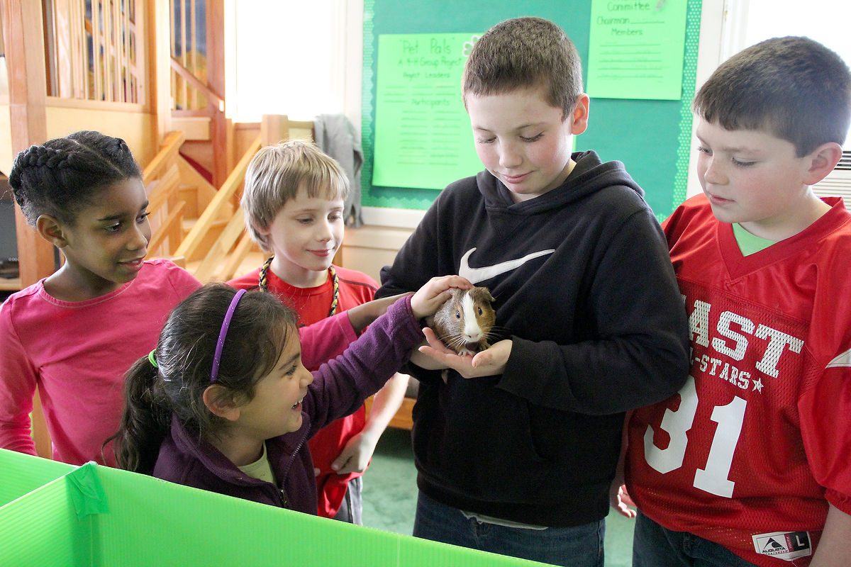 4-H Club.jpg