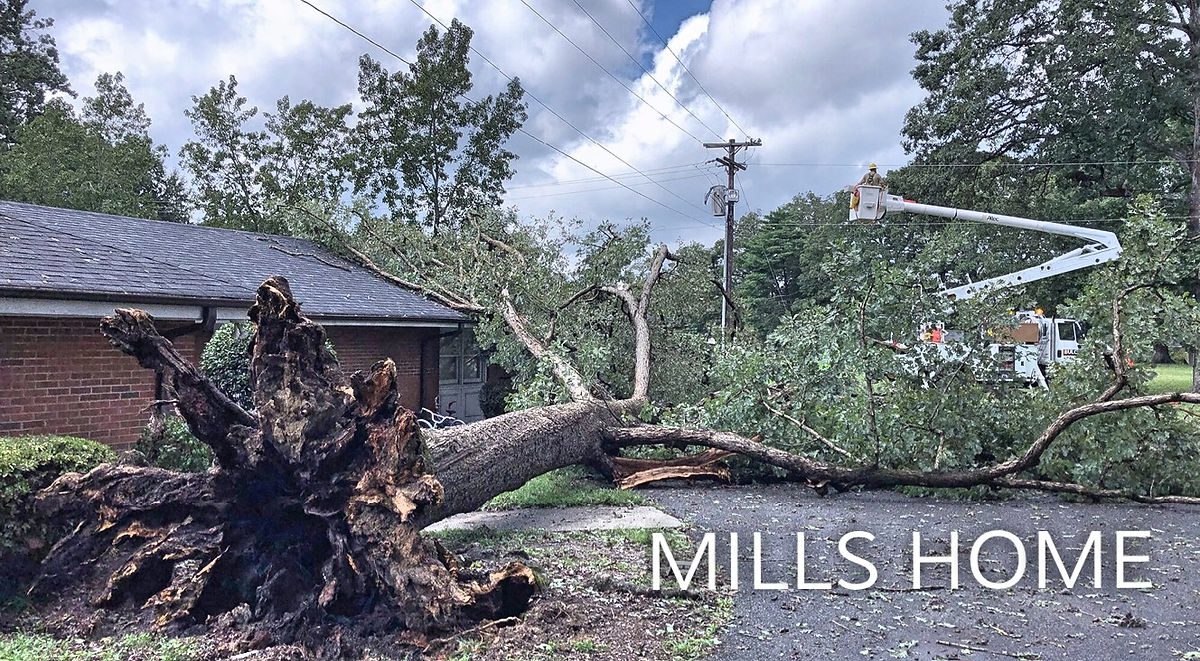 Mills Home trees down causing power outage