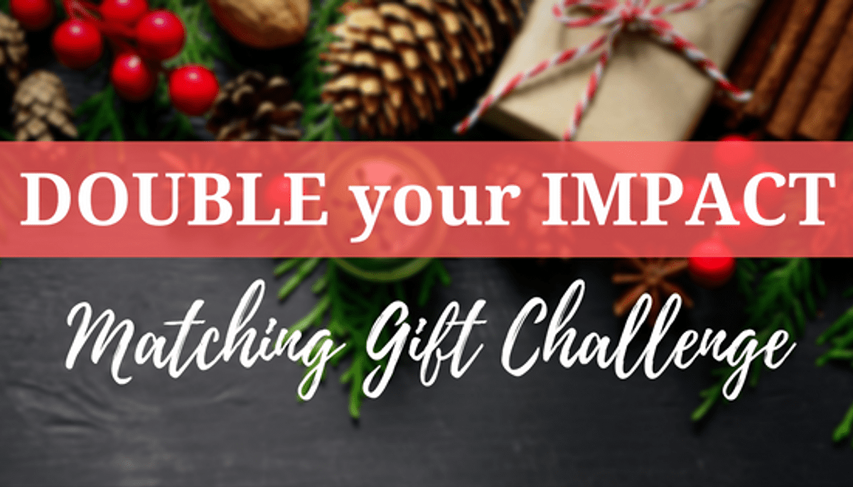 Double your Impact - $150,000 Matching Gift Challenge for Baptist Children's Homes