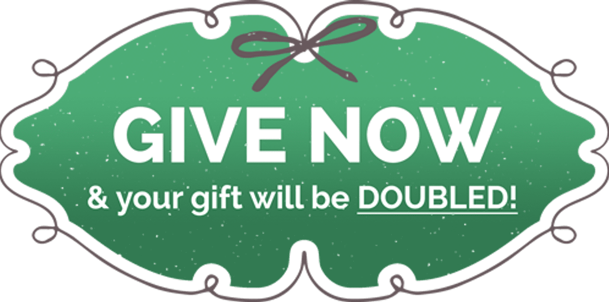 Give now and your gift will be doubled